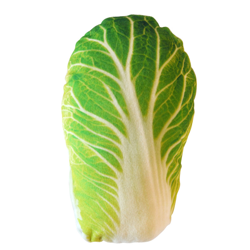 Chinese cabbage