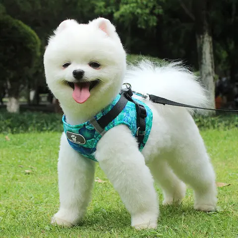 Dog Vest Traction