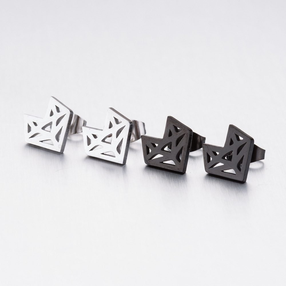 Stainless steel earrings