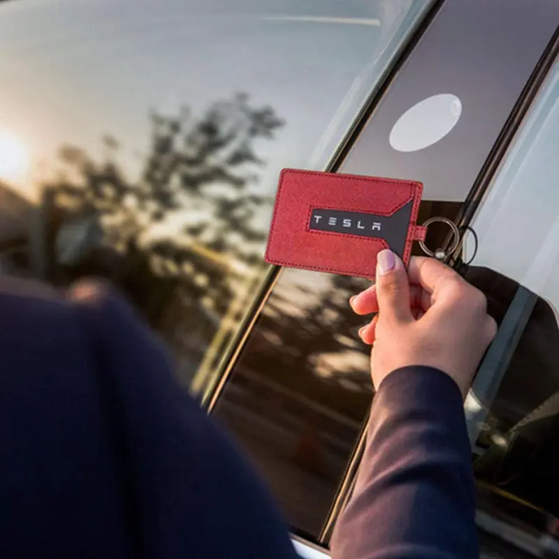 Special Tesla Key Case