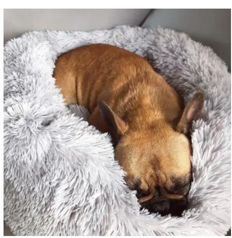 Good Pet Bed with Custom Box - Gray