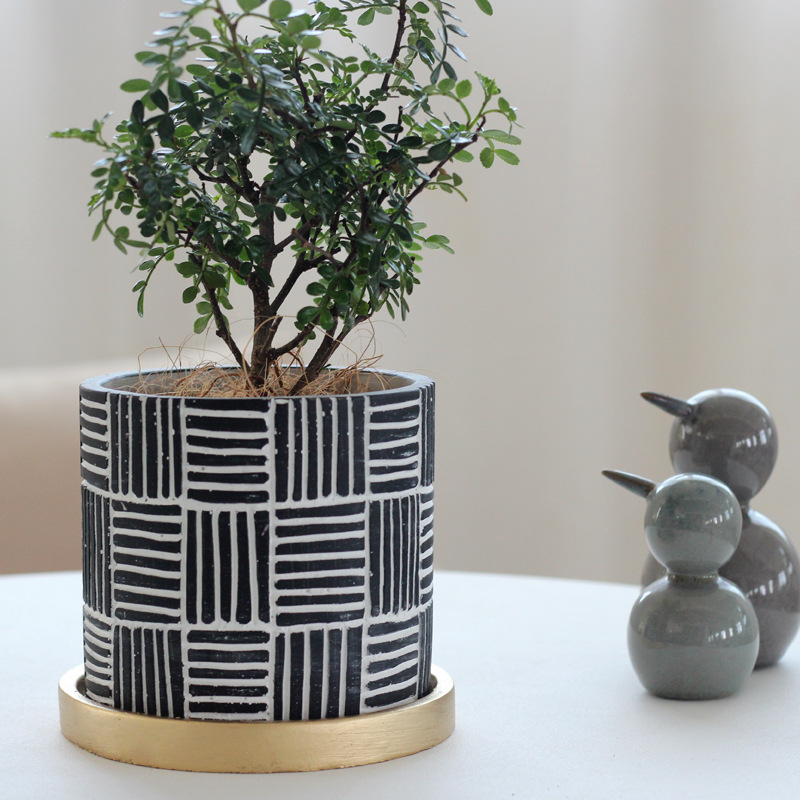 Close up cement pot with bonsai plant on a table indoors.