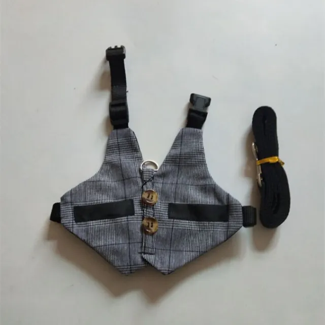 Rabbit leash rabbit dress Grey - Shop at LoveMi