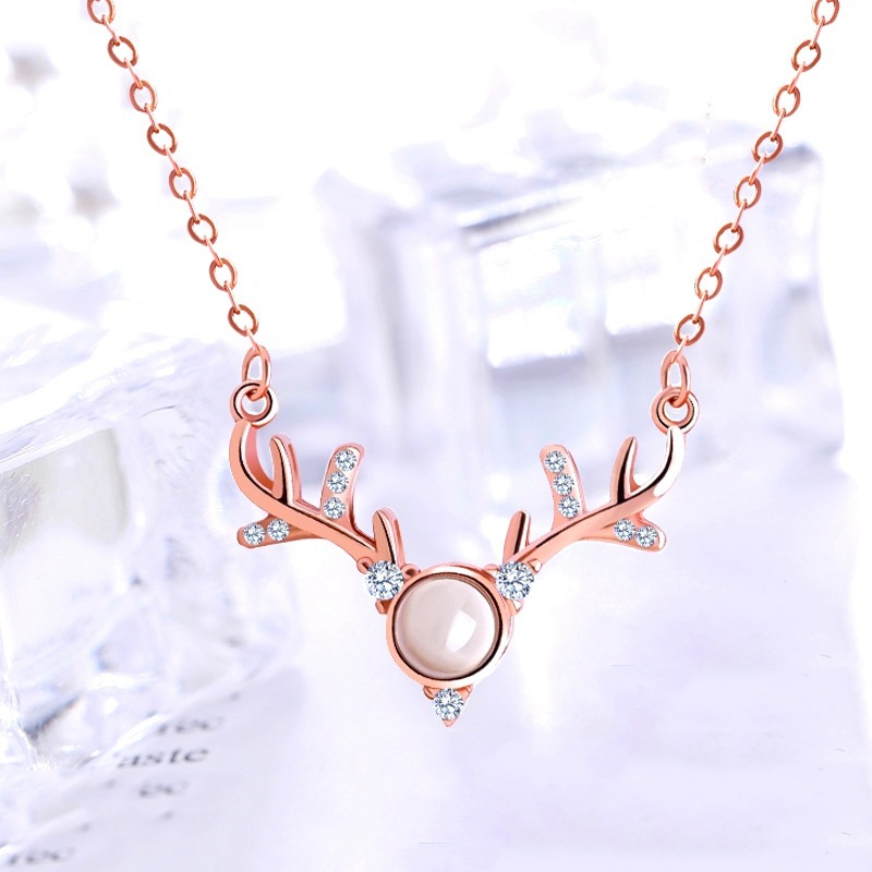 A hundred languages on Valentine's Day