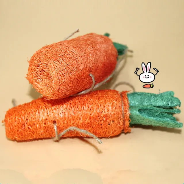 Natural health molar toy Orange - Shop at LoveMi