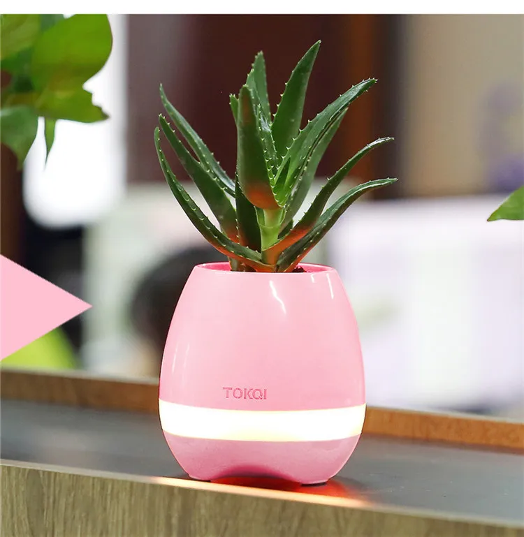 Touch-sensitive music vase desktop audio – image 4