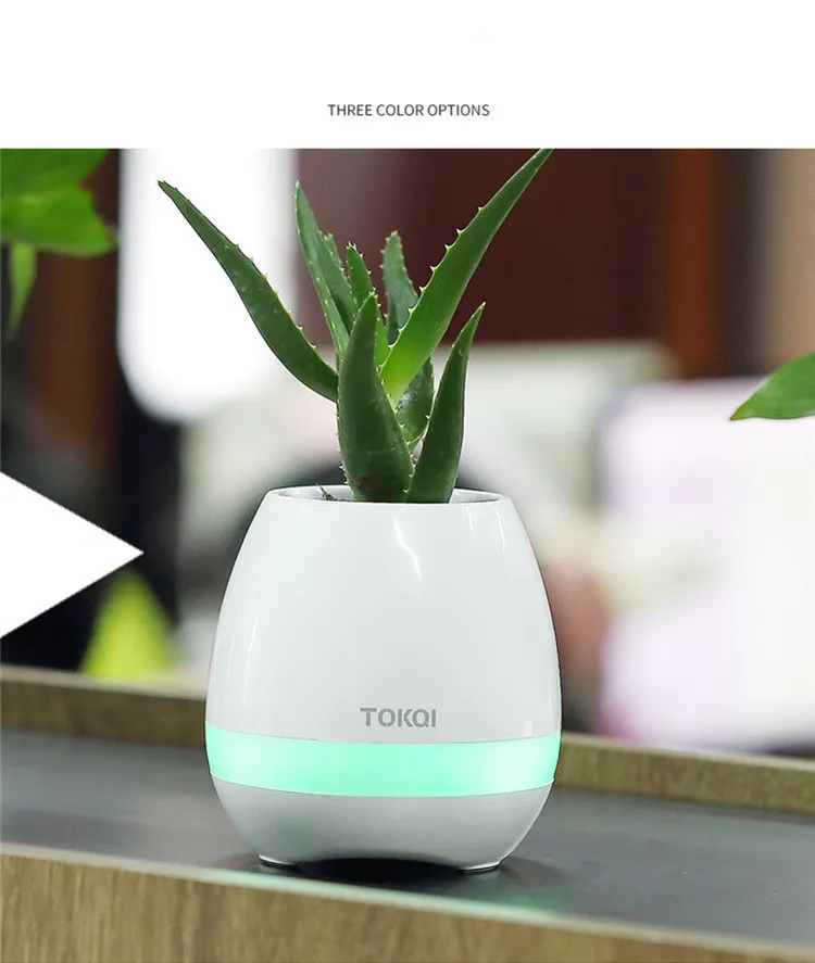 Touch-sensitive music vase desktop audio – image 2