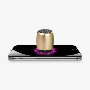 Portable Outdoor Mini Speaker