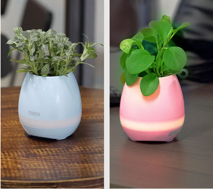 Touch-sensitive music vase desktop audio – image 6