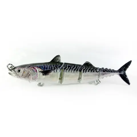 Simulation of Fishing with Four Sections of Bait