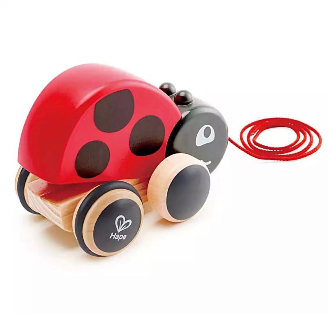 Garden Friend Pull-Along Toy