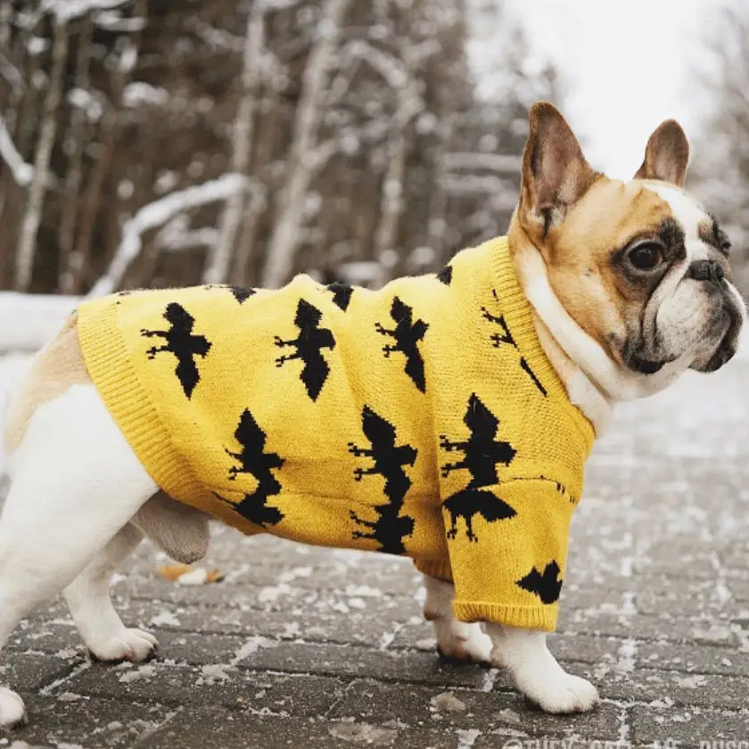 Bat Warm Core-spun Yarn Pet Sweater