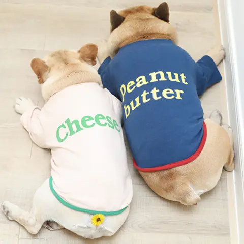 Dog Letter T-shirt Sweater