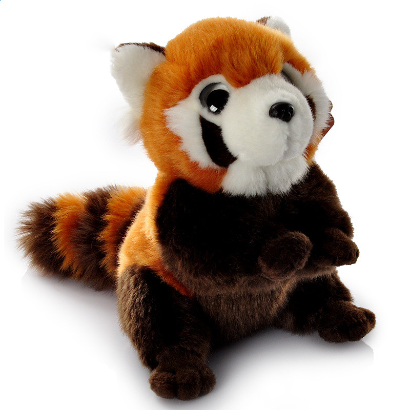 Red panda