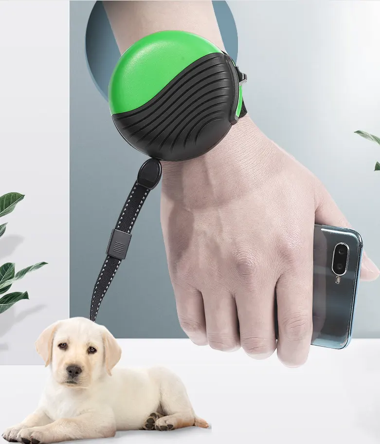 Wrist-type Pet Watch Leash