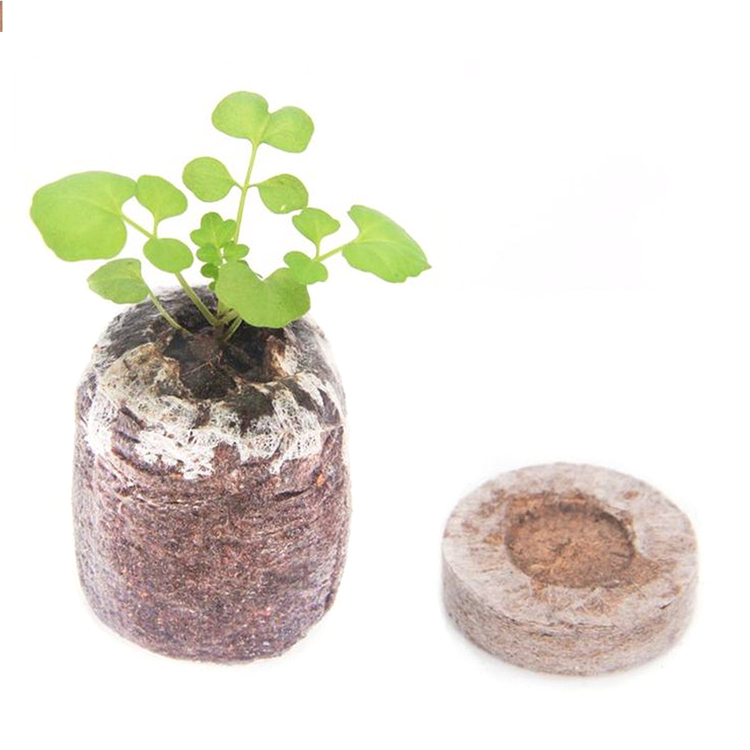 Seedling Mud Pellets, 30 mm