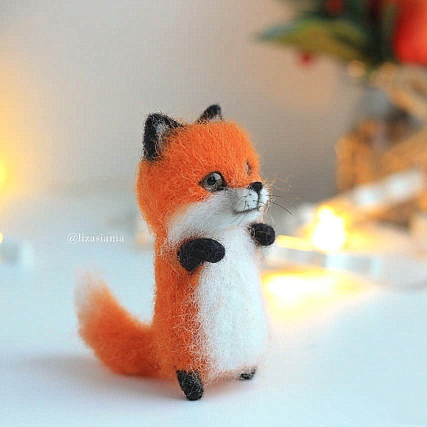 Little Fox