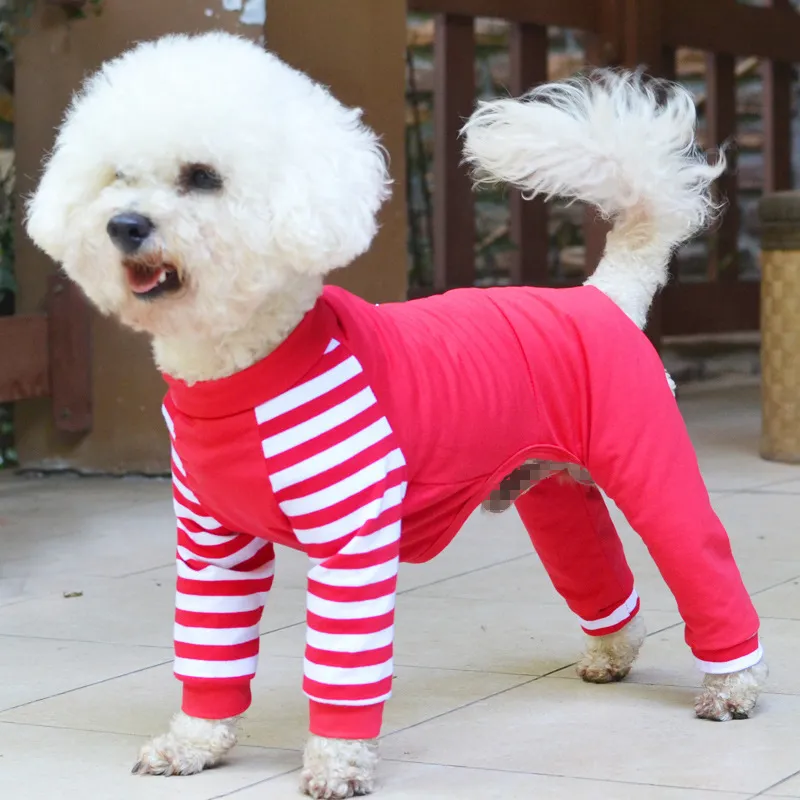 Teddy bear dog four legged clothes - Red