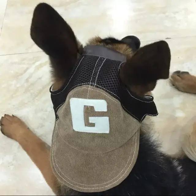 Cute dog hat