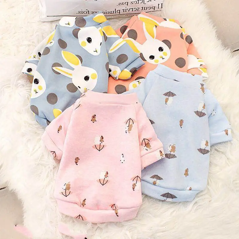 Young Autumn and Winter Small Dog Pet Clothes