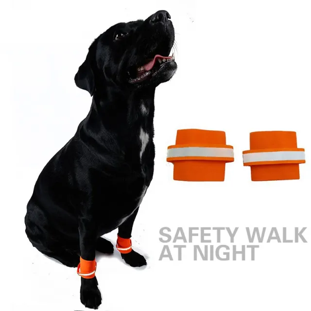 Puppy fluorescent foot cover Orange - Shop at LoveMi
