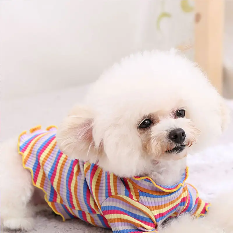 Rainbow stripe cotton bottoming shirt