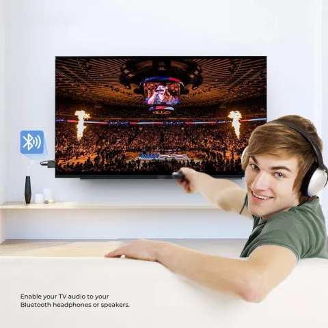 Bluetooth Transmitter Receiver