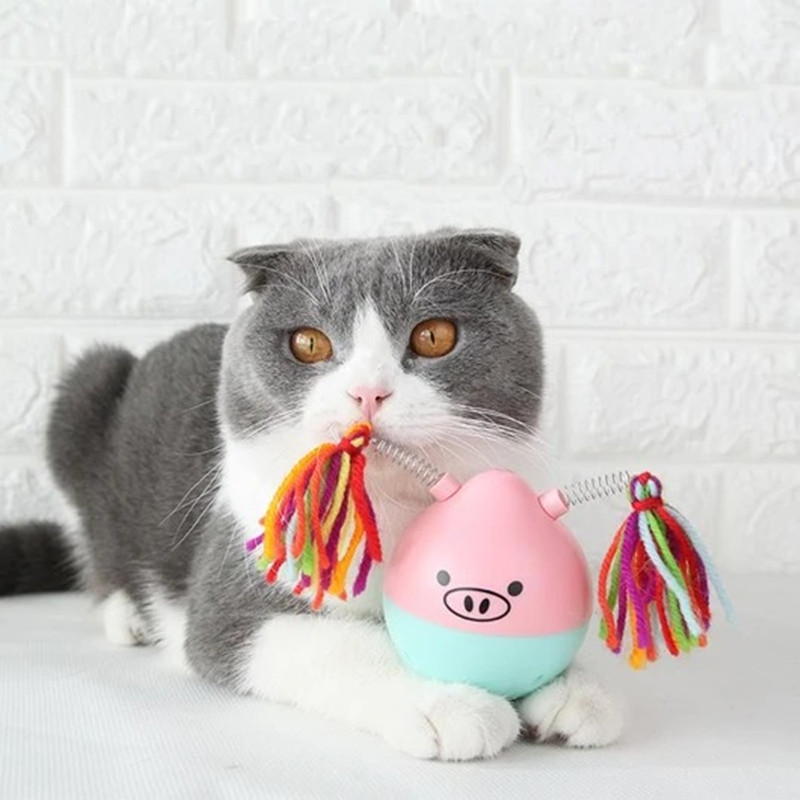 Tumbler pet toy — foto 2
