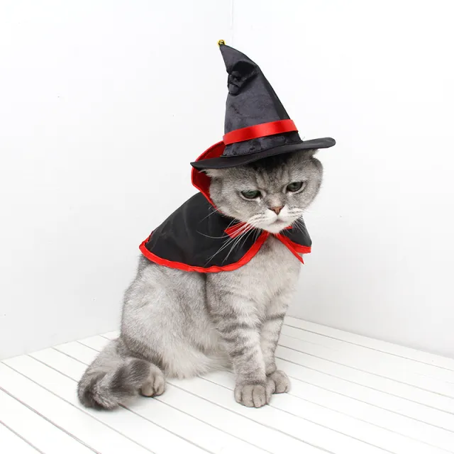 Halloween Warm Pet Cloak Set - Shop at LoveMi