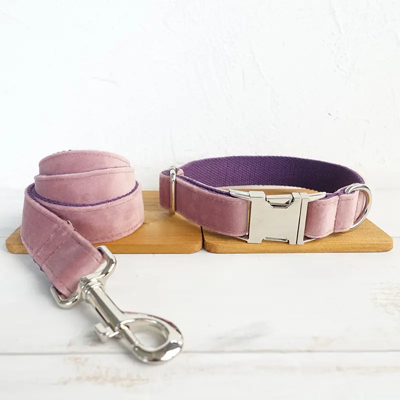 Pink dog collar