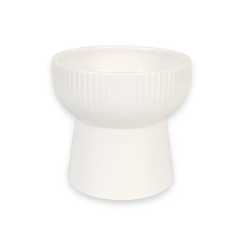 Household pet ceramic bowl - White