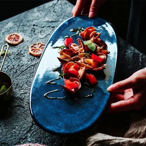 Sushi Sashimi Plate Snack Flat