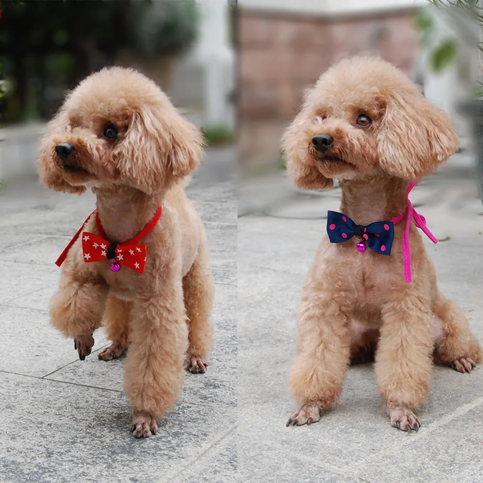 Pet accessories pet bow – image 3
