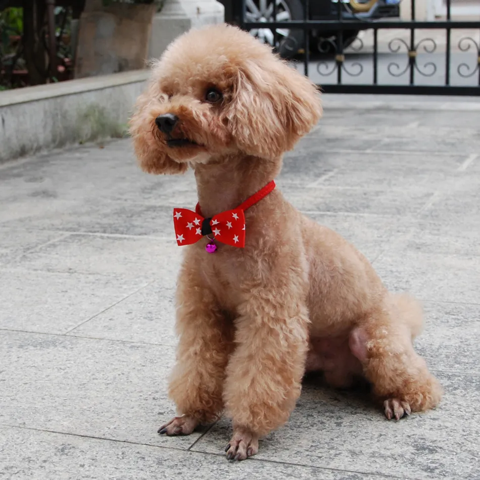 Pet accessories pet bow – image 4