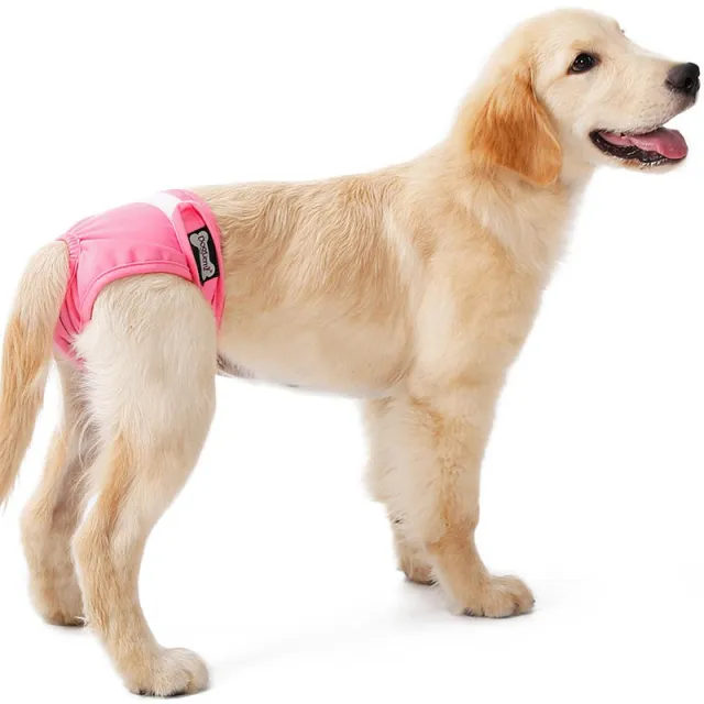 Breathable polyester bitch physiological pants Pink - Shop at LoveMi