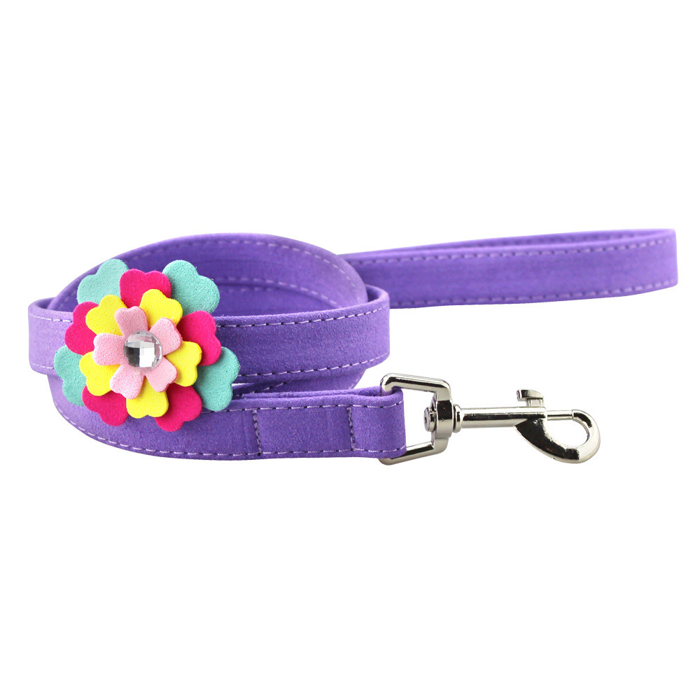 Purple Leash