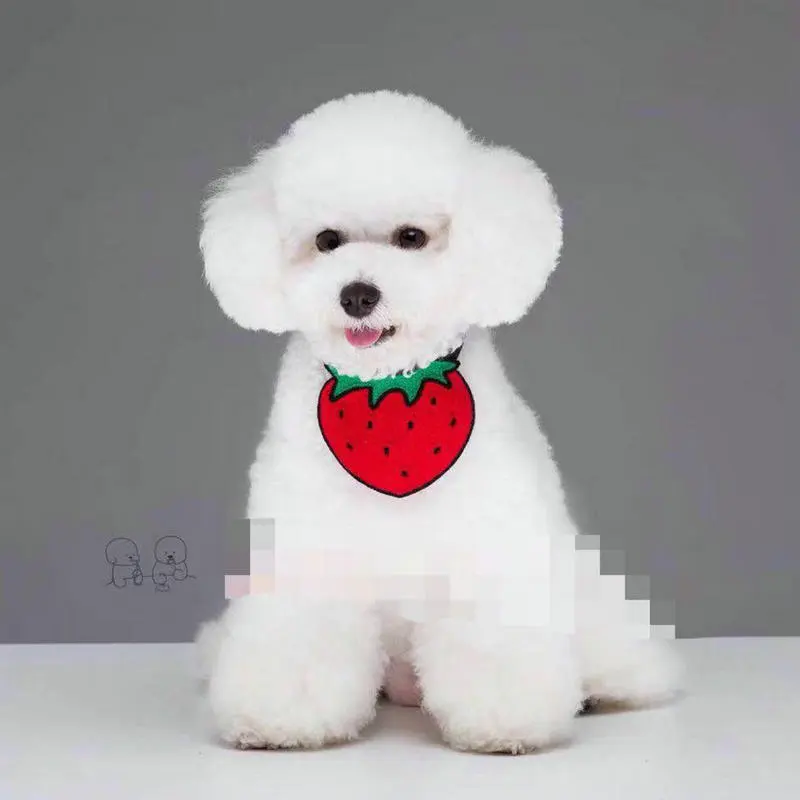 Cartoon pet bib - Red