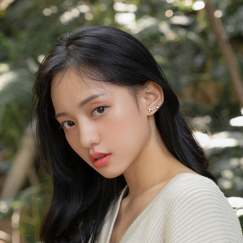 TDeer crown earrings female sterling silver