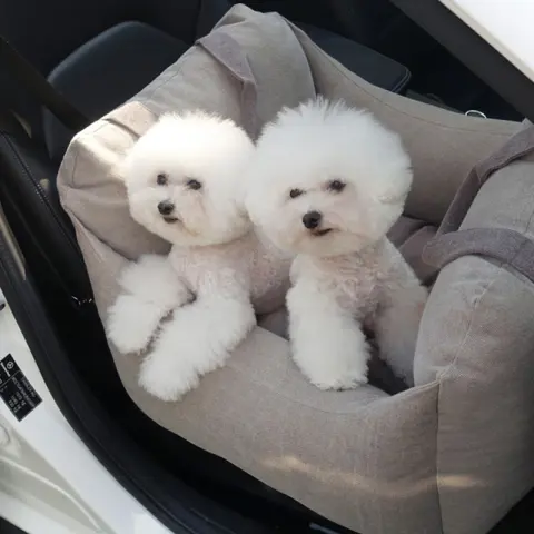 Pet Dog Car Carrier Seat Waterproof Basket Portable Car