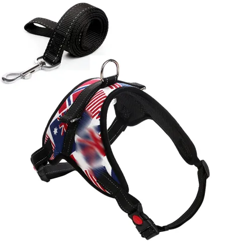 Camouflage Harness and Dog Leash