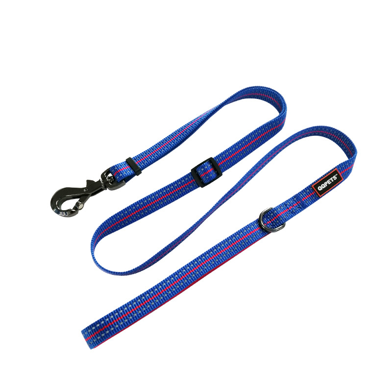 Blue Leash