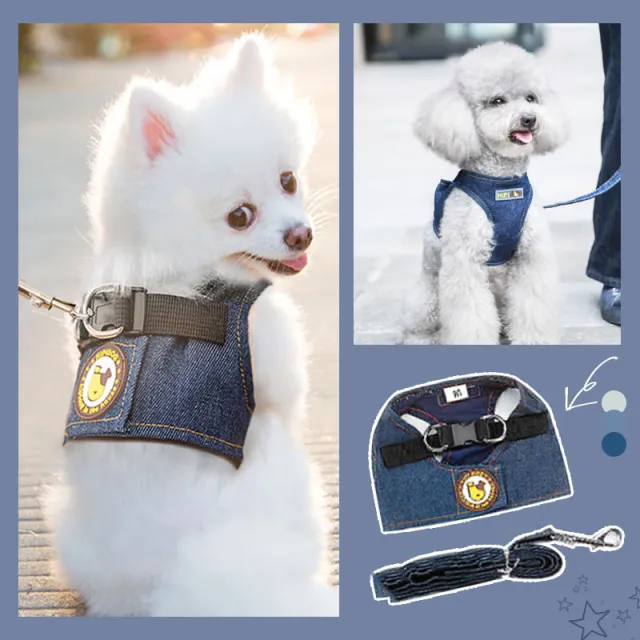 Vest style dog cowboy traction rope Blue - Shop at LoveMi