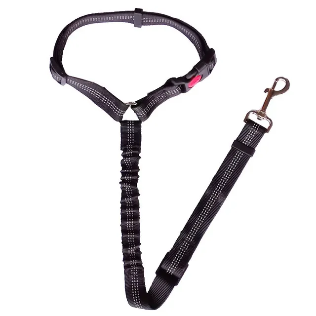 Safety Rope Elastic Traction Rope Dog Chain Black - Shop at LoveMi