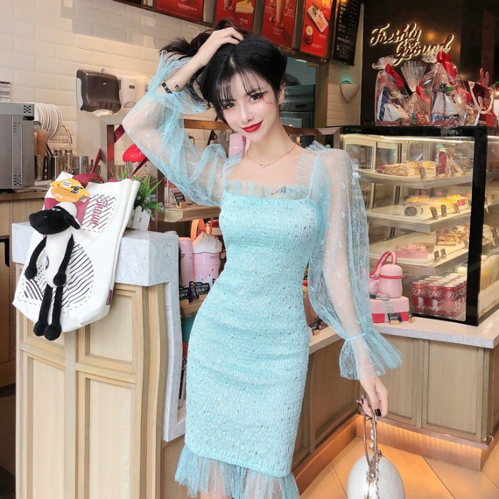 Hips mesh long sleeve dress