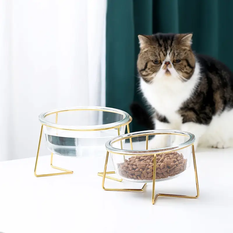 Tilt glass pet bowl