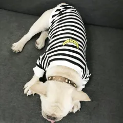 Adult pet striped parent-child outfit - Black - View 1