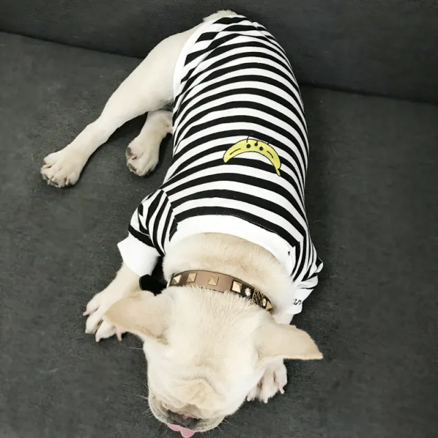 Adult pet striped parent child outfit Black - Shop at LoveMi
