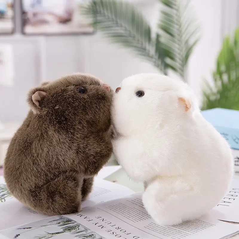 Guinea pig plush toy doll