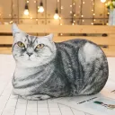 A50Cm