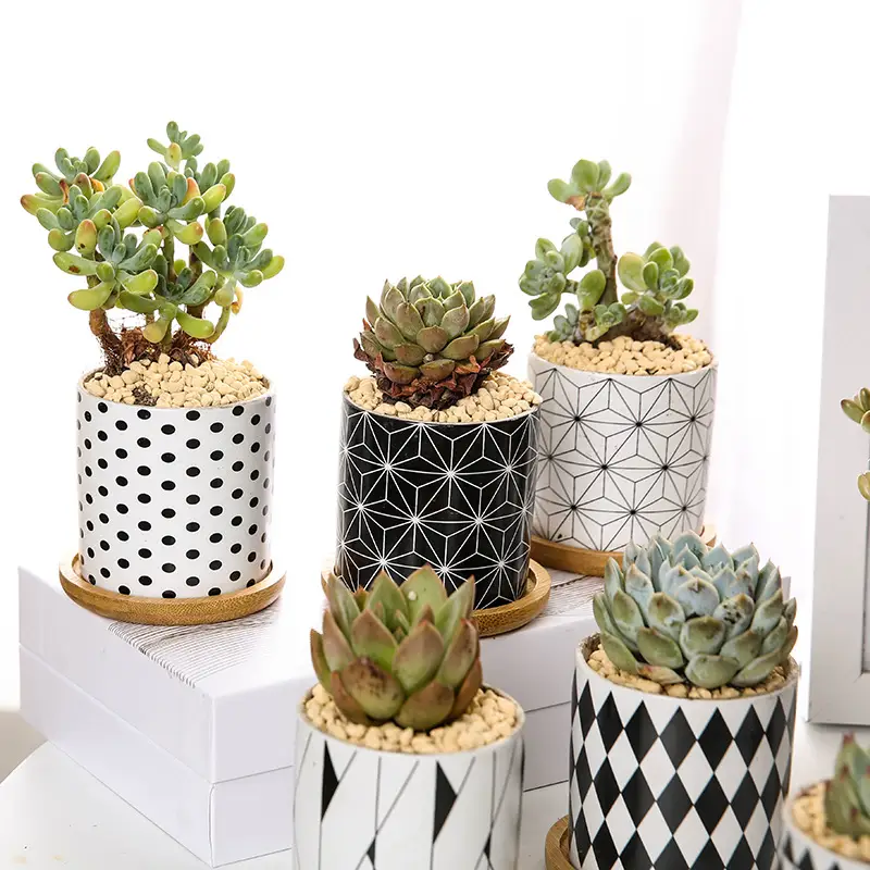 Ceramic flowerpot